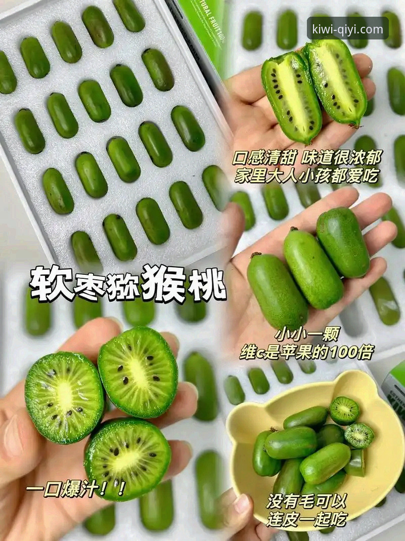 奇异果体育好用吗 vs 安全吗：一位用户10天实测的全方位对比